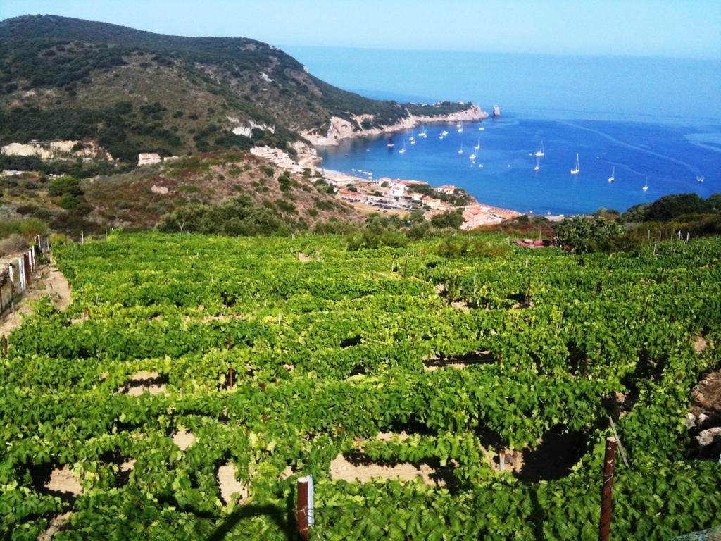 Ammiraglio * Giglio Campese