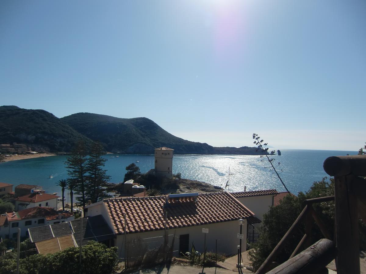 Ammiraglio * Campese (Grosseto)