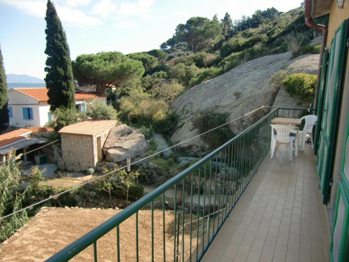 Ammiraglio * Campese (Grosseto)
